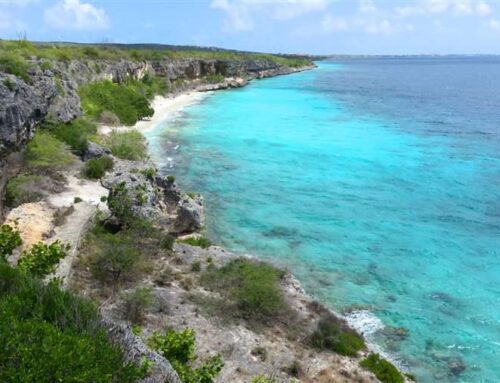 Bonaire National Marine Park Management Plan 2018