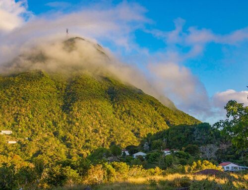 Mount Scenery National Park Management Plan