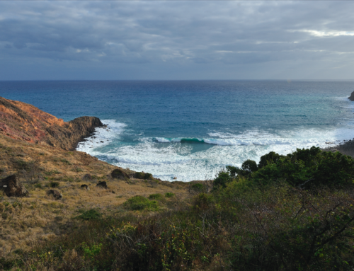 St Eustatius National Marine Park Management Plan