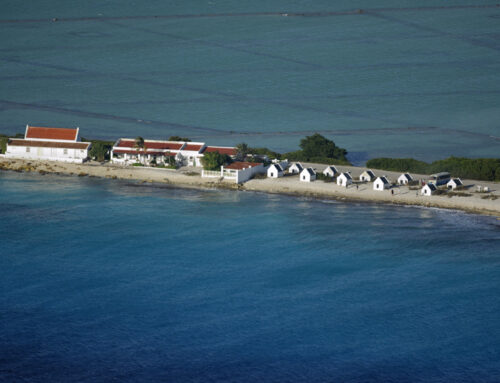 Bonaire National Marine Park Management Plan