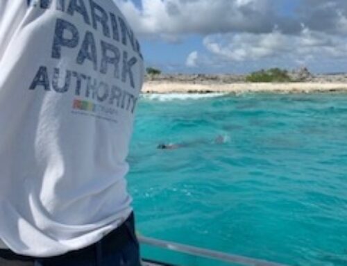 Bonaire National Marine Park Management Plan Complete